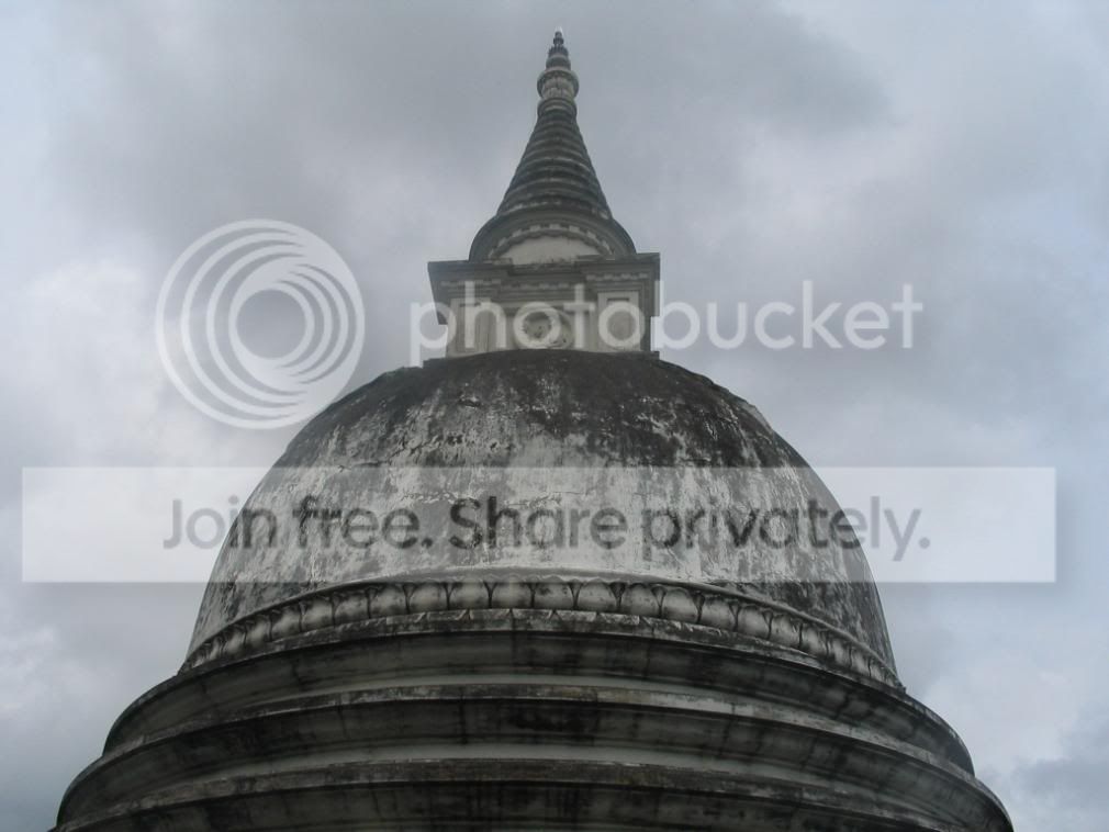 CopyofIMG_0288.jpg