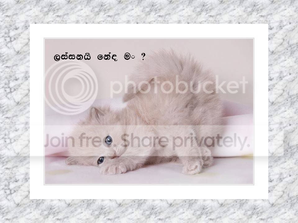 Slide2.jpg