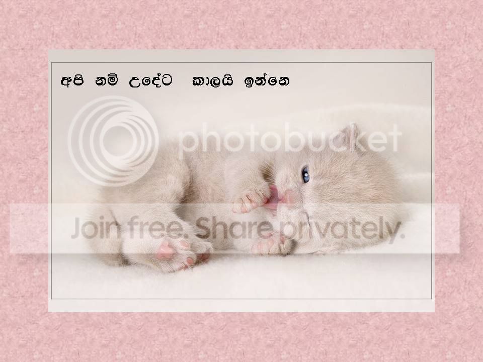 Slide3.jpg
