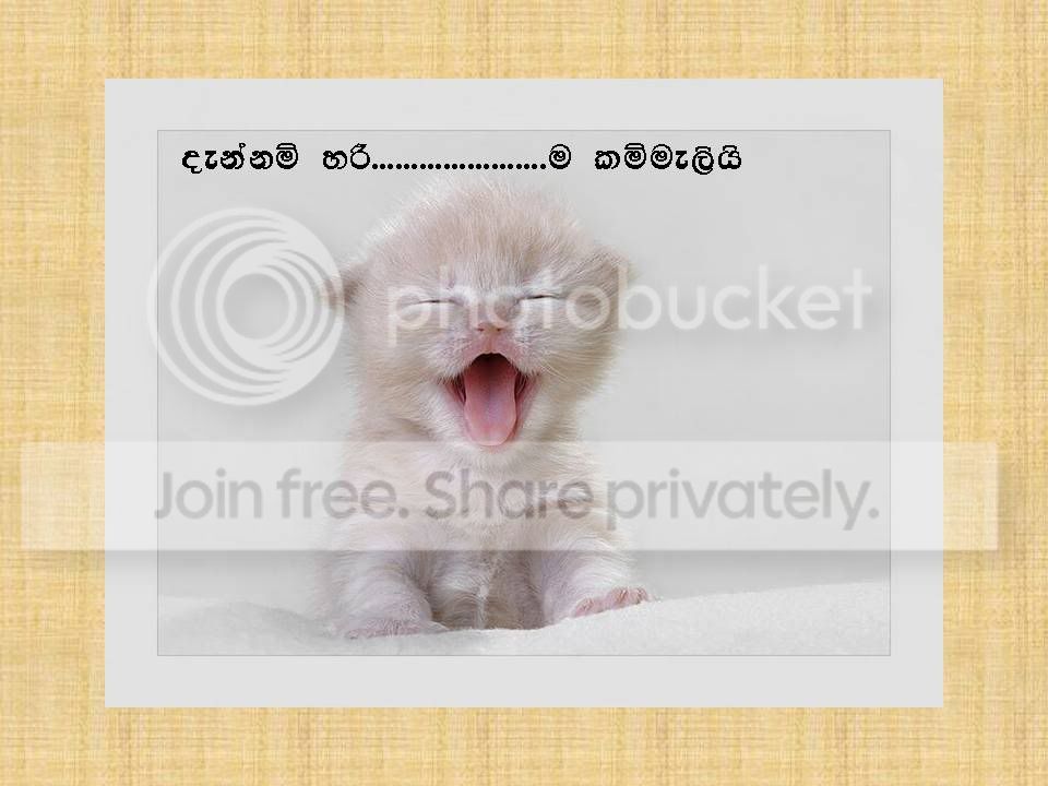 Slide4.jpg