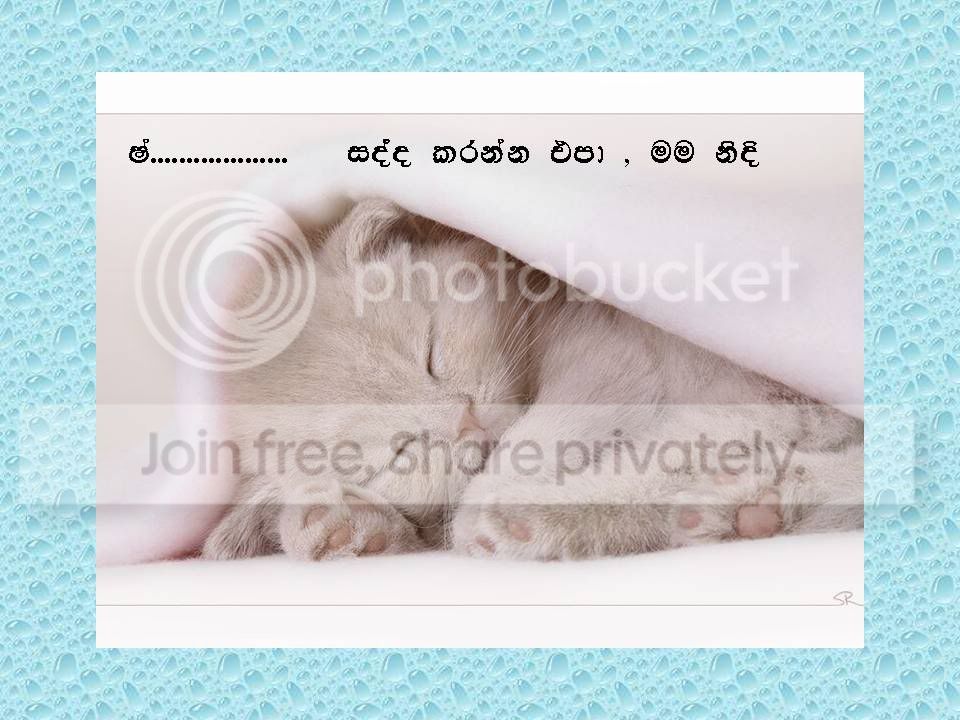 Slide5.jpg