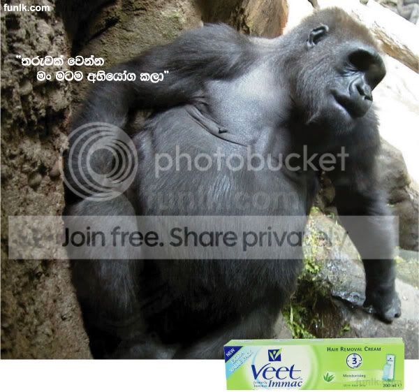 veet.jpg
