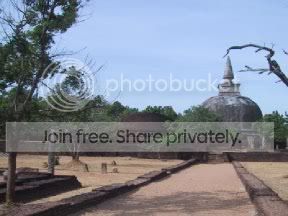 kirivihara.jpg