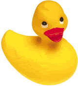 duck2.gif
