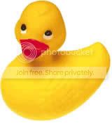 ducknew.jpg