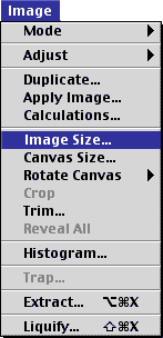 imagesize.gif