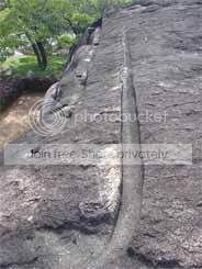 reclined_image08_small.jpg