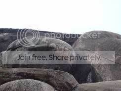 reclined_image11_small.jpg