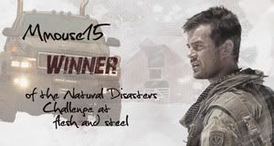 flesh and steel winner banner