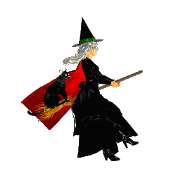 photo fly-witch.gif