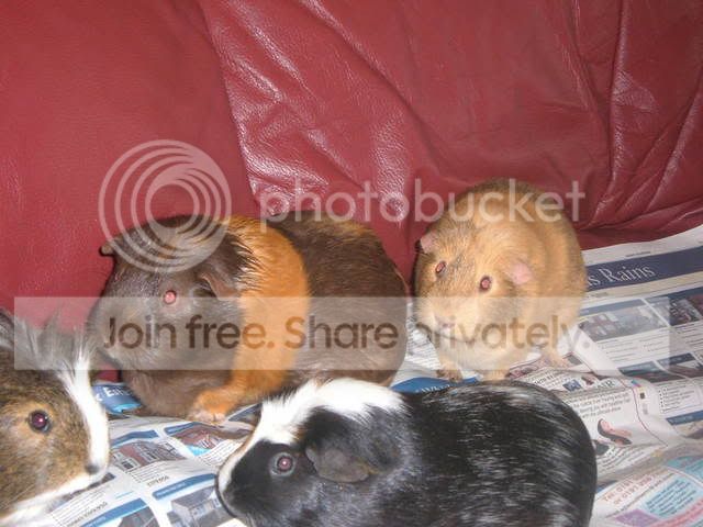Picture015.jpg