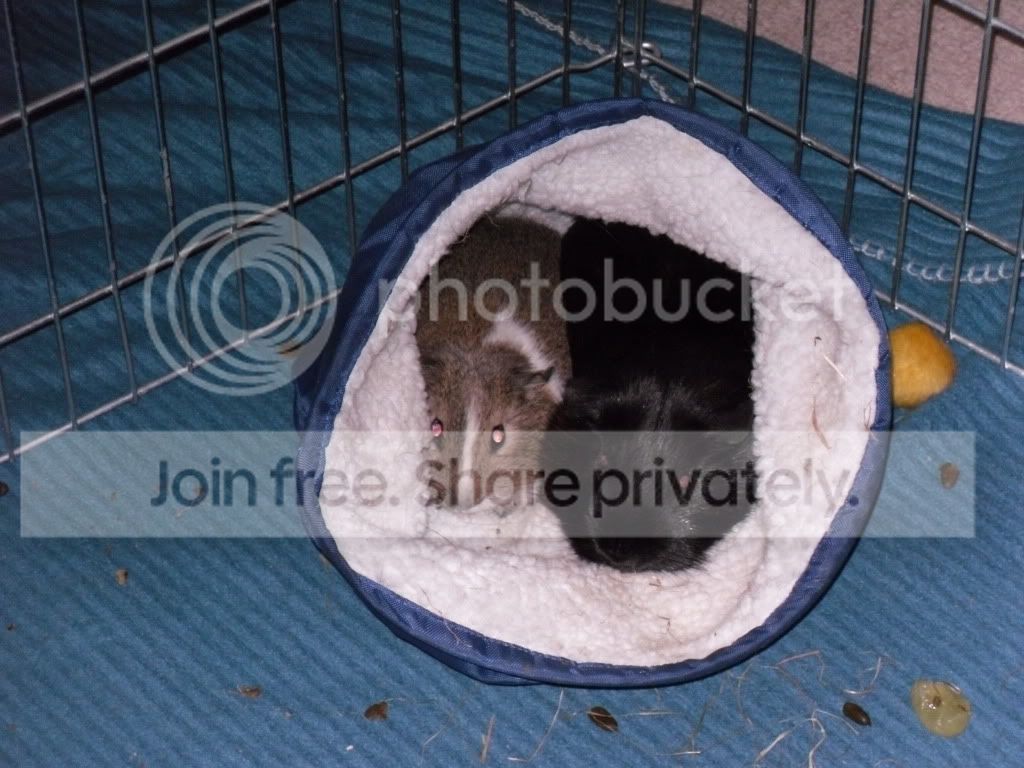 SDC10185.jpg