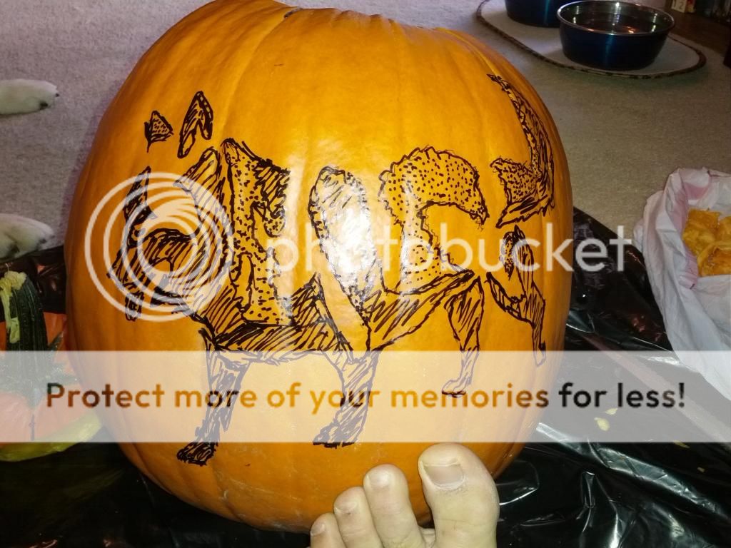 Free husky pumpkin carving stencil Jackolantern_zps9c586729