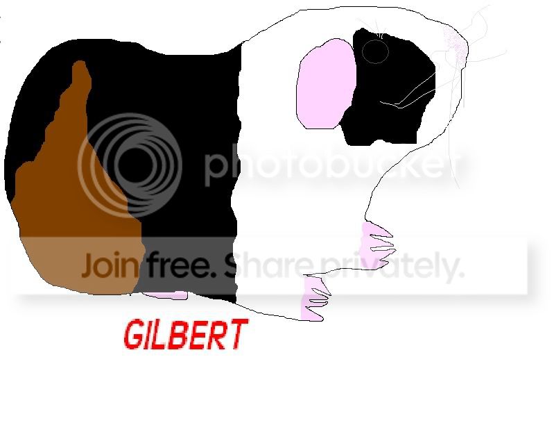 GILBERT.jpg