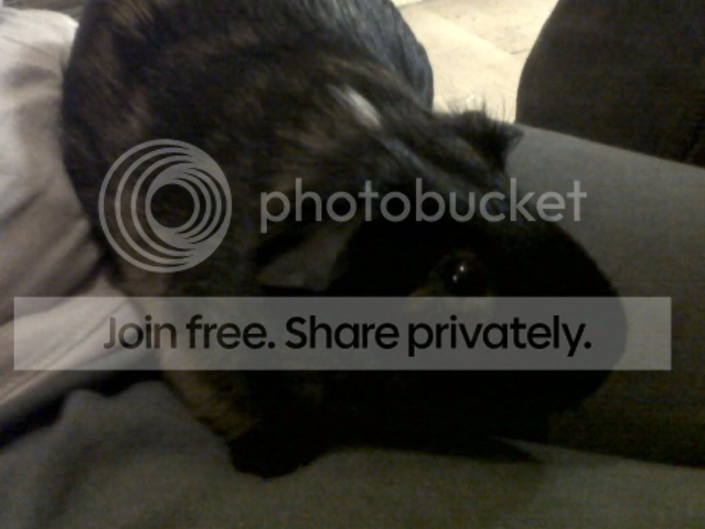 IMG00060-20110114-2000.jpg